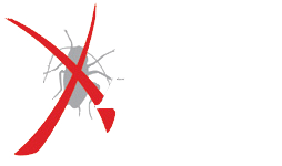 Exact Pest Logo